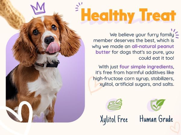 BUDDY BUDDER 6 Pack Mixed Flavor Squeeze Packs, 100% Natural Dog Peanut Butter, Healthy Peanut Butter Dog Treats, Made in USA, (4oz Packs)