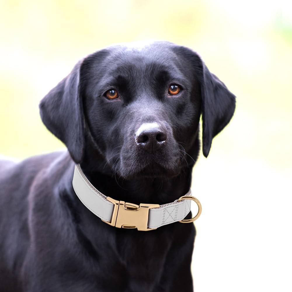 PET ARTIST Soft PU Leather Dog Collar for Large Dogs, Bright & Classic Nylon Padded Durable Dog Collar Leather with Quick Release Metal Buckle Adjustable for Male Dogs, Neck Fit 16-27"