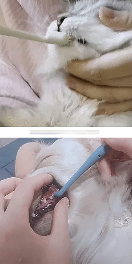 Kitteney Pet Toothbrush for Dogs, Cats with 0.06mm Super Soft Bristles, Head Replaceable, Double Headed Toothbrush for Small to Large Teeth, Easy Teeth Cleaning & Dental Care (Gray)