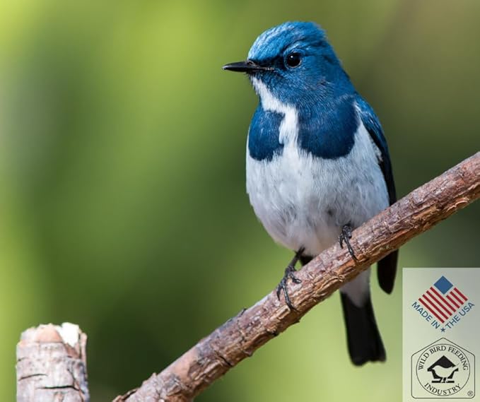 Blue Seal Song Nature's Choice Wild Bird Seed | High Energy Mix, No Filler | Sunflower and White Safflower Seeds | Attracts Variety of Wild Outside Birds | Shell-Free Mix | Made in USA | 8 Pound Bag
