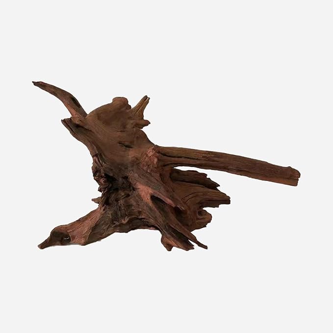 LYPHARD AQUARIUMS Natural Driftwood for Aquarium Decor, L21.26×W12.6×H11.81 Inches Large Drift Wood Decorations for Reptile Hide, Fish Tank, Optional Shapes