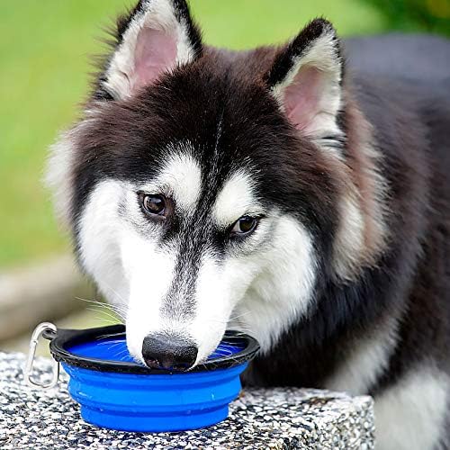 Kytely Large Collapsible Dog Bowls 2 Pack, 34oz Foldable Dog Travel Bowl, Portable Pet Water Food Bowl with Clasp, Pet Cat Feeding Cup Dish for Traveling, Walking, Hiking (Blue+Green)