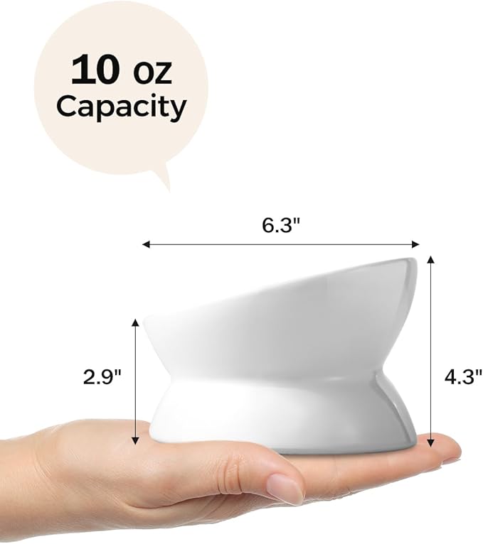 LoeJan Elevated Cat Food Bowl, 5 Oz Ceramic Raised and Tilted Water Bowl, Anti Vomiting and Protect Pets' Spines Dishes for Small Dog, Fat Faced Cat, Kitten (White, 10 OZ)
