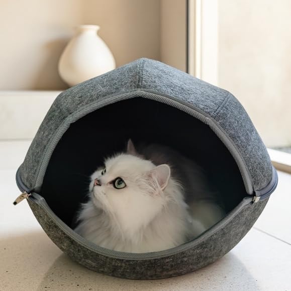 Donut Cat Tunnel Bed Peekaboo Cat Cave for Large Cats Up to 30 Lbs, Kitty Interactive Playing Tent House for Multiple Cats,Detachable,Scratch Resistant (2 in 1 Black, Medium - 20 Inch Diameter)