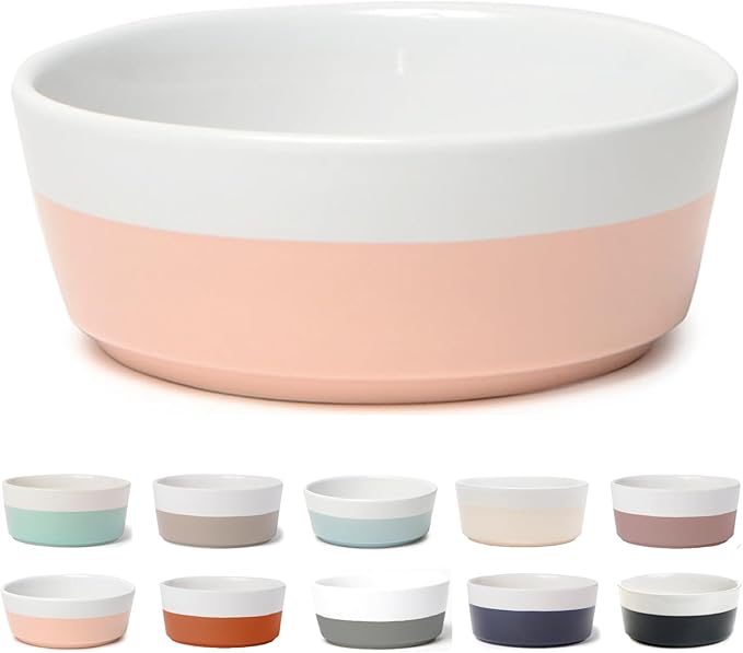 Waggo Dipper Ceramic Dog Bowl for Small and Large Breeds - Heavyweight and Durable Pet Food and Water Dish Crock, Dishwasher Safe, Modern (Rose, Medium)