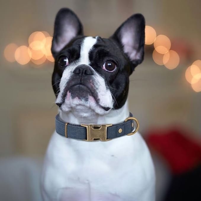 PET ARTIST Dog Collar for Large Dogs, Soft Padded Premium Nylon Dog Collar with Quick Release Metal Buckle, Durable & Adjustable Pet Collars for Boy Gifts, Blue, L (Fit 15-22")