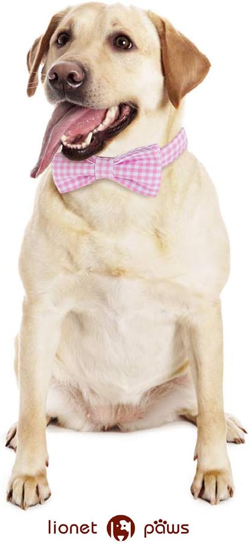 Lionet Paws Dog Collar with Bowtie, Comfortable Adjustable Cute Pink Gingham Bow Tie Collar for Female Dogs Gift, Small, Neck 10-16 inches
