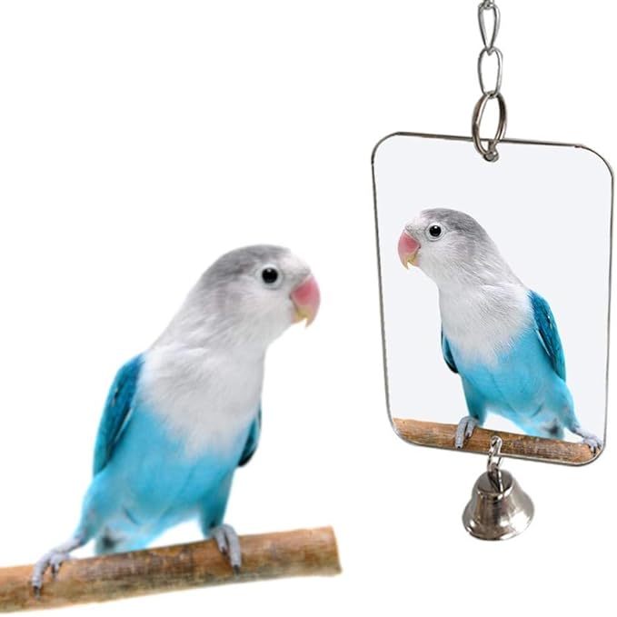 Acrylic Bird Mirror for Small Birds, Parrot Cage Toys 1PC (4.72" x 3.14") – Clear Unbreakable Hanging Mirror Cage Accessory for Parakeet, Cockatiel, Conure, Lovebirds, Budgies