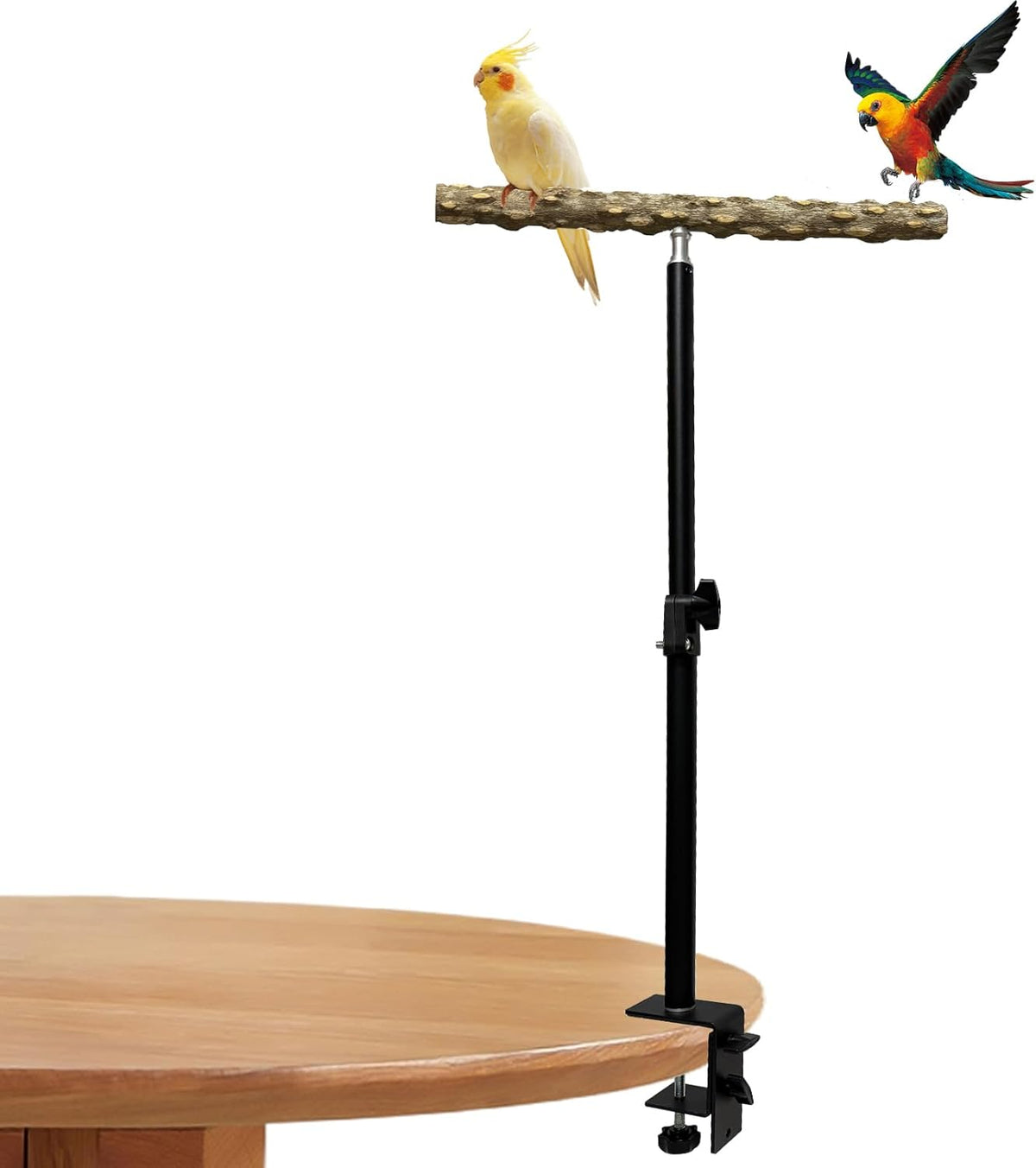 13-23 Inch Height Adjustable Desktop Bird Perch Pepper Wood Bird Training Perch Stand Parakeet Perches Indoor and Outdoor Parrot Stands for Small to Medium Bird
