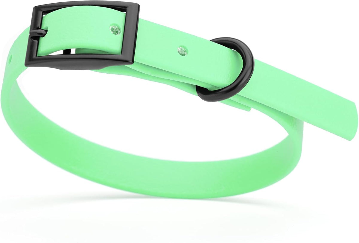 Dogline Biothane Waterproof Dog Collar Strong Coated Nylon Webbing with Black Hardware Odor- Proof for Easy Care Easy to Clean High Performance Fits Small Medium or Large Dogs, Sea Foam Green