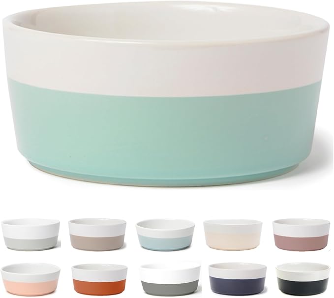 Waggo Dipper Ceramic Dog Bowl for Small and Large Breeds - Heavyweight and Durable Pet Food and Water Dish Crock, Dishwasher Safe, Modern (Mint, Medium)