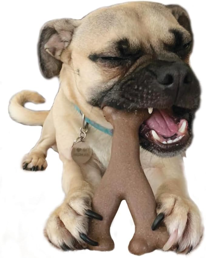SPOT Bam-Bones Wishbone - Made with Strong Bamboo Fiber, Durable Long Lasting Dog Chew for Light to Moderate Chewers, Great Toy for Adult Dogs & Teething Puppies Under 30lbs, 5.25in, Chicken Flavor