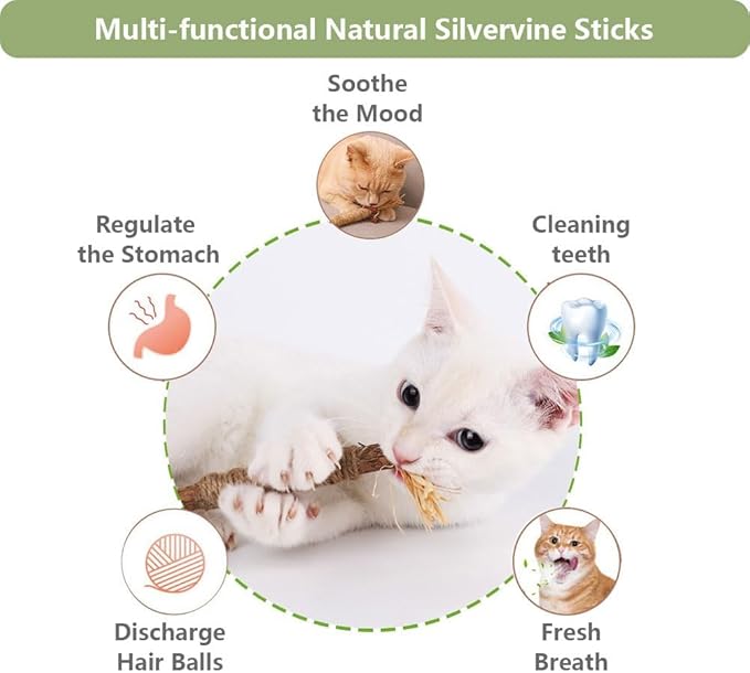 6 PCS Silvervine Sticks for Cats - Natural Cat Chew Toys for Teeth Cleaning, Kitten Teething & Aggressive Chewers