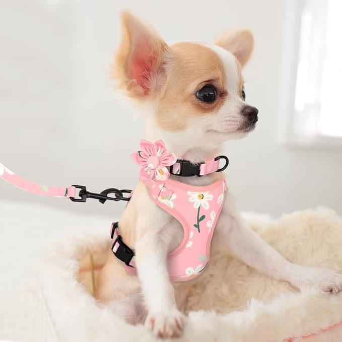 Beirui Cute Girl Dog Collars, Harnesses & Leashes Set - Adjustable Dog Collar and Leash Set with Flower - Soft Mesh Dog Vest Harness for Puppies Small & Extra Small Dogs Cats (Pink-1,XXS)