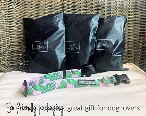 Lucky Love Dog, Tropical Matching Dog Collar & Leash Set, Soft & Comfy, Vivid Pink Color Collar and Leash for Female Male Dogs - (X-Small, Laguna Combo)