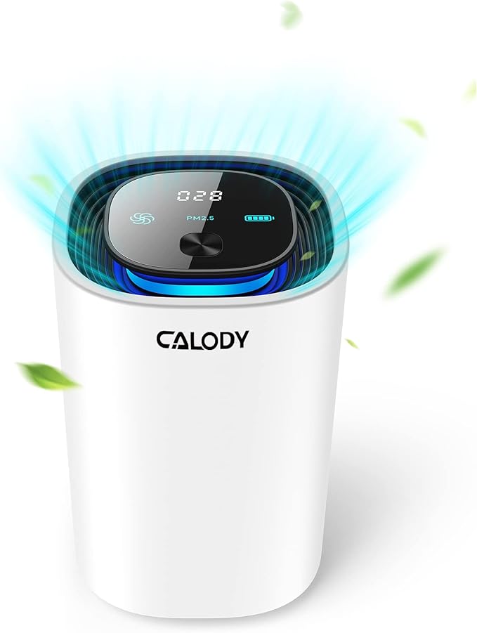 Calody Air Purifiers for Bedroom Home, Car air purifier Ionizer, 15 Million Negative Ions for Smokers, 30dB Quiet Portable Ionic Air Purifiers, Helps Alleviate Allergies, Dust, Home, and Office Use