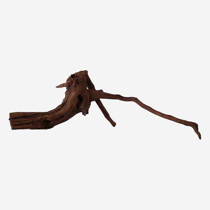 LYPHARD AQUARIUMS Natural Driftwood for Aquarium Decor, L21.26×W9.45×H7.09 Inches Large Drift Wood Decorations for Reptile Hide, Fish Tank, Optional Shapes
