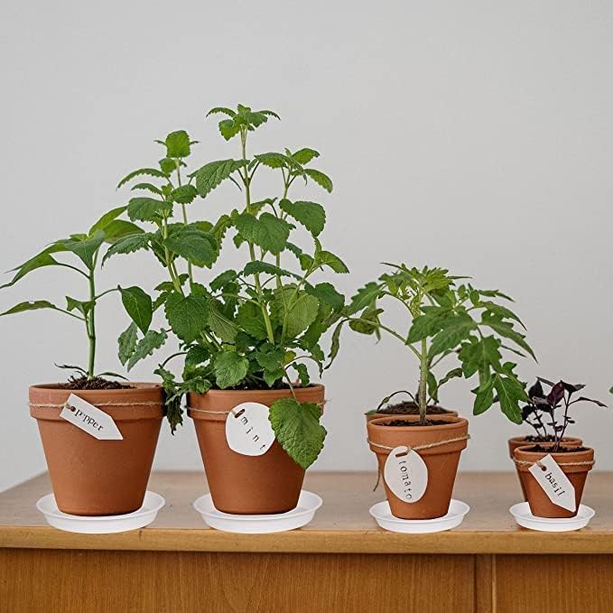 6 Pack Plant Saucer 4 5 inch (4 inch Base), Heavy Sturdy Plant Drainage Tray for Indoors (5", Creamy White)