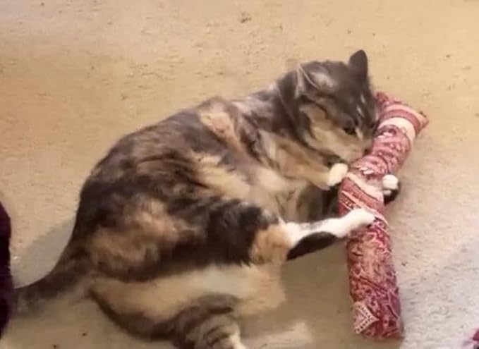 15" Catnip Cat Kicker Toys/Kitty Kick Sticks/Cat-Nip Kick Sticks (Ruby Red) (Kickers Filled with 1 oz Premium Canadian Catnip)