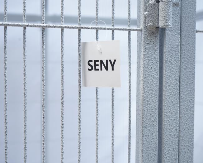 SENY Heavy Duty Large Walk-in Bird Aviary Cage, 79H x 86W x 62D inches, for Parrots, Macaws, Cockatoos, Reptiles, Dogs, Birds Flight Cage. (Silver White, Wire Size: 0.14")
