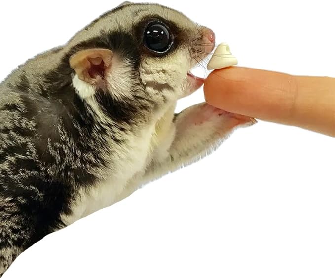 Yogu Drops With Papaya (4.5 oz.) - Healthy Natural Fruit & Yogurt Treat - For Sugar Gliders, Rats, Chinchillas, Ferrets, Parrots, Hamsters, Squirrels, Hedgehogs, Guinea Pigs, Rabbits & Small Pets