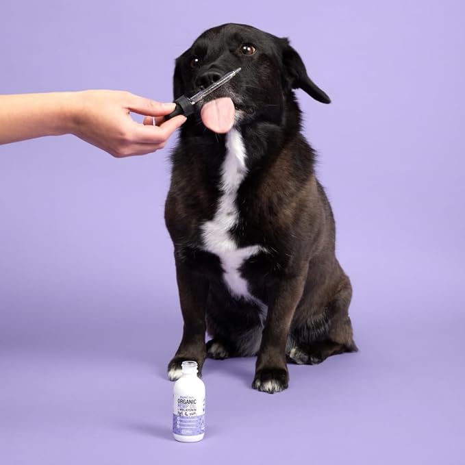 Melatonin + Organic Calming Hemp Oil for Dogs Anxiety and Stress Relief - Calming Drops Pet Hemp Oil for Dogs & Cats - Hip and Joint Support Supplement for Dogs Pain Management (2oz)