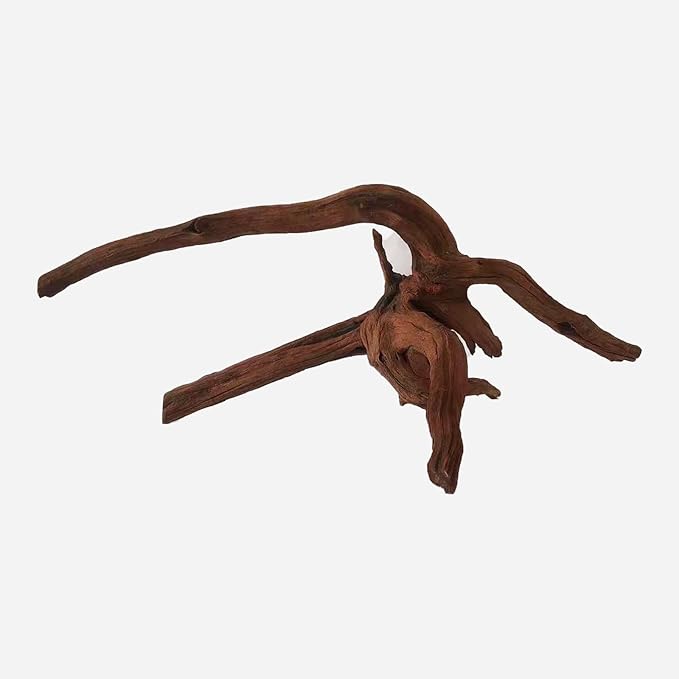 LYPHARD AQUARIUMS Natural Driftwood for Aquarium Decor, L21.65×W13.78×H8.27 Inches Large Drift Wood Decorations for Reptile Hide, Fish Tank, Optional Shapes