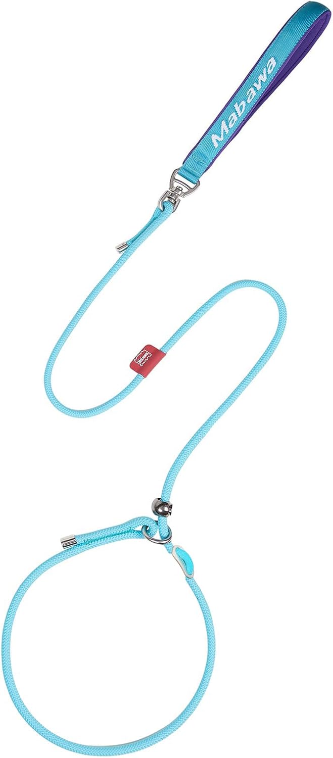 Dog Anti-Slip Leash 5FT with Metal Stopper - Durable No-Pull Training Lead for Small, Medium & Large Dogs - Comfortable Handle Nylon Rope, Tangle-Free Pet Walking Leash (Lake Blue, 5 FT)