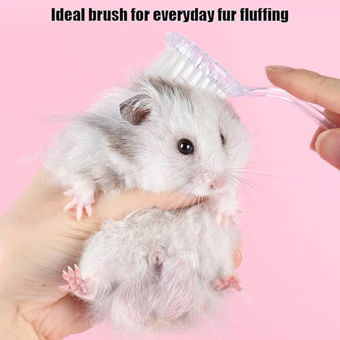 2 Pack Hamster Brush, Hedgehog Cleaning Supplies, Guinea Pig Massage Combs - Transparent