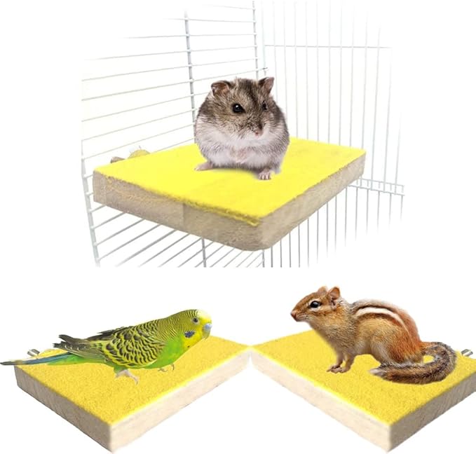Litewoo Bird Perch Grinding Stand for Bird Parrot Budgie Parakeet Cockatiel Conure Lovebird Finch（3.5" x 5.1"）