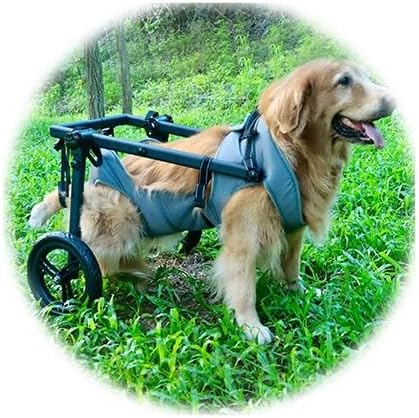 Pet Trolley Adjustable Hind Leg Disabled Dog Mobility Aid Light Rehabilitation Legs Wheelchair Walk Tools(X-Large)