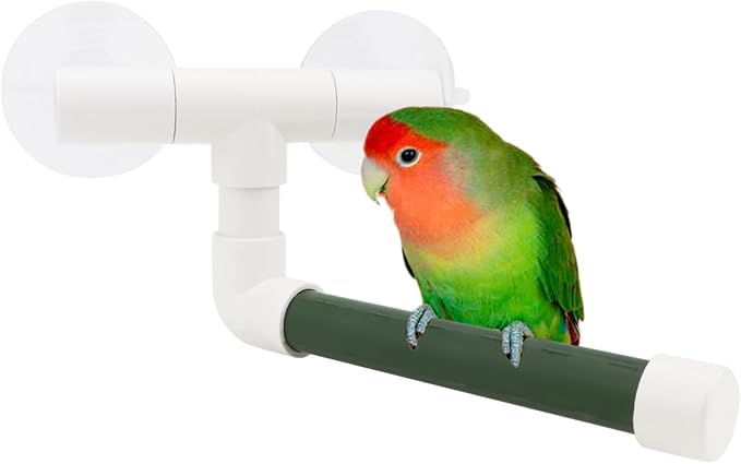 Hypeety Bird Parrot Stand Perch Shower Standing Toy Portable Suction Cup Parrot Shower Perch Bath Stands Suppllies Holder Platform Parakeet Finch Window Sturdy Hanging Play (Small)