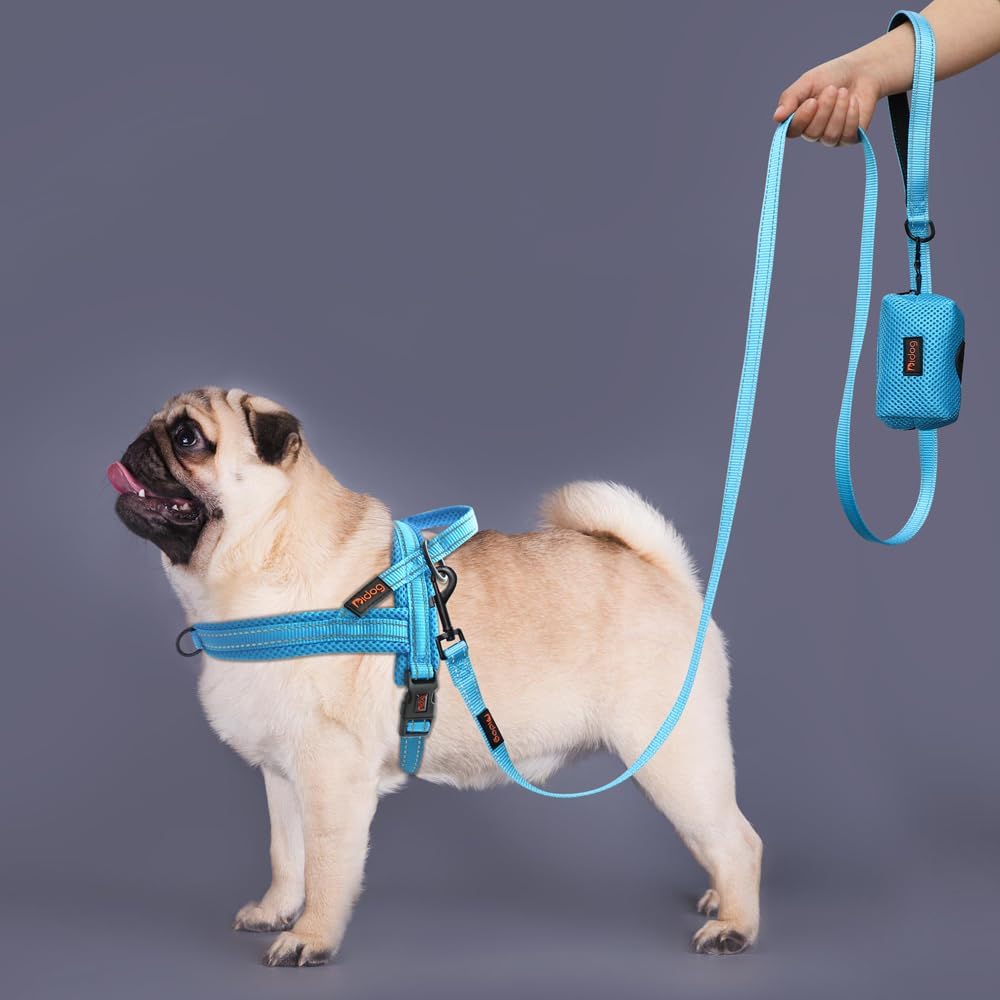 Didog No Pull Dog Harness with Soft Mesh Padded,Reflective & Quick Fit Light Weight Dog Strap Vest Harness,Easy for Walking Training (S:Chest 18-22", Mesh-Blue)