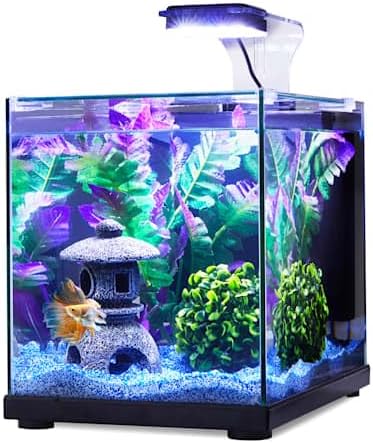 Imagitarium Glass Versa Aquarium 3.7 Gallons