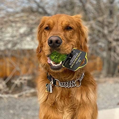Hyper Pet DuraSqueak Dog Ball Toy, Interactive, Floats, Squeaks, Dog Balls for Fetching, Alternative to Traditional Tennis Balls - for All Breeds