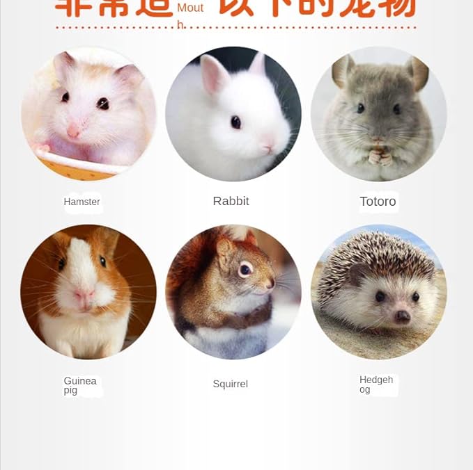 Food for Hamsters, Hedgehogs, Lizards, Frogs, Birds, Hedgehogs, Snacks, Nutritious, Small Animal Food