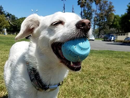 Chuckit Gen 1 Fetch Pack Dog Balls - Interactive Dog Toys, High-Bounce Fetch Ball, Floating Ultra and Rugged Balls, Durable - Size Medium, 2.5-inch Diameter, Set of 3