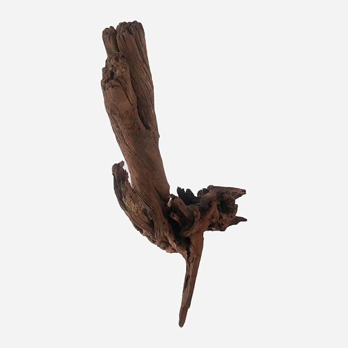 LYPHARD AQUARIUMS Natural Driftwood for Aquarium Decor, L12.2×W9.45×H19.69 Inches Large Drift Wood Decorations for Reptile Hide, Fish Tank, Optional Shapes