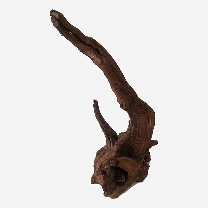 LYPHARD AQUARIUMS Natural Driftwood for Aquarium Decor, L11.81×W9.06×H16.54 Inches Large Drift Wood Decorations for Reptile Hide, Fish Tank, Optional Shapes