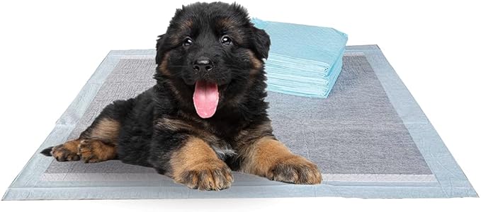 BV Charcoal Puppy Pads XL 40 Count 28"x34" - Leak-Proof Pee Pads for Dogs with 6-Layer Absorbent Design & Built-in Attractant - Dog Pad Extra Large with Charcoal for Odor Control - for Large Dogs