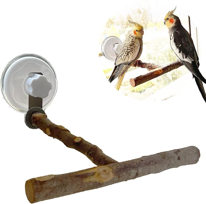 Portable Bird Perch Stand- T-Shaped Natural Apple Wood with Vacuum-Grip Suction Cup for Windows, Flat Tiles, Bath/Car/Travel - Durable & Safe for Parrots, Cockatiels, Lovebirds (Small to Medium Birds)