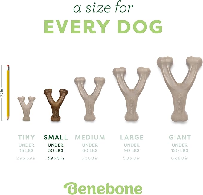 Benebone Wishbone Durable Dog Chew Toy for Aggressive Chewers, Real Peanut, Made in USA, Small, for Any breed