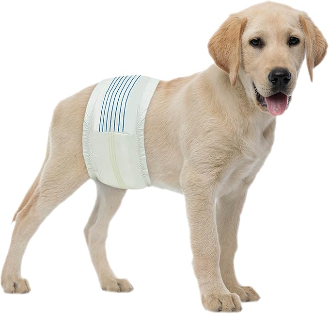 BV Dog Diapers Male Medium (Waist 13-23in) Super Absorbent - 50 Count Disposable - Doggie Diapers with Wetness Indicator - Adjustable Male Dog Wraps - Ideal for Incontinence/Training
