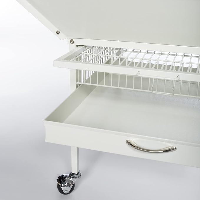 Prevue Pet Products 34512 Dometop Bird Cage, Small, Chalk White