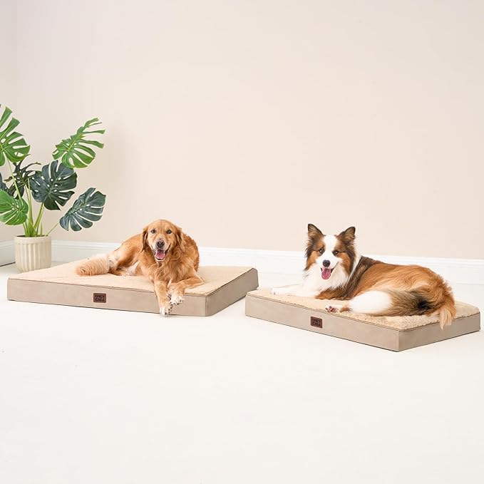EHEYCIGA Orthopedic XL Dog Beds for Extra Large Dogs with Removable Washable Cover, Khaki, 44x32
