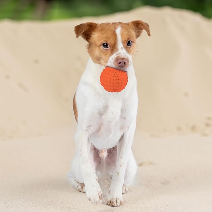 Best Pet Supplies Interactive Squeaky Dog Chew Toy, Ideal Dog Toys for Chewers, Small, Medium & Large Dogs, and Fetch Lovers - Spiky Ball (Blue, Orange), Large 3.5"