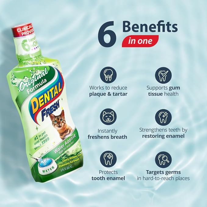 Dental Fresh Water Additive for Cats, Original Formula, 8 oz – Cat Breath Freshener – Products for Cats to Help Overall Cat Dental Health