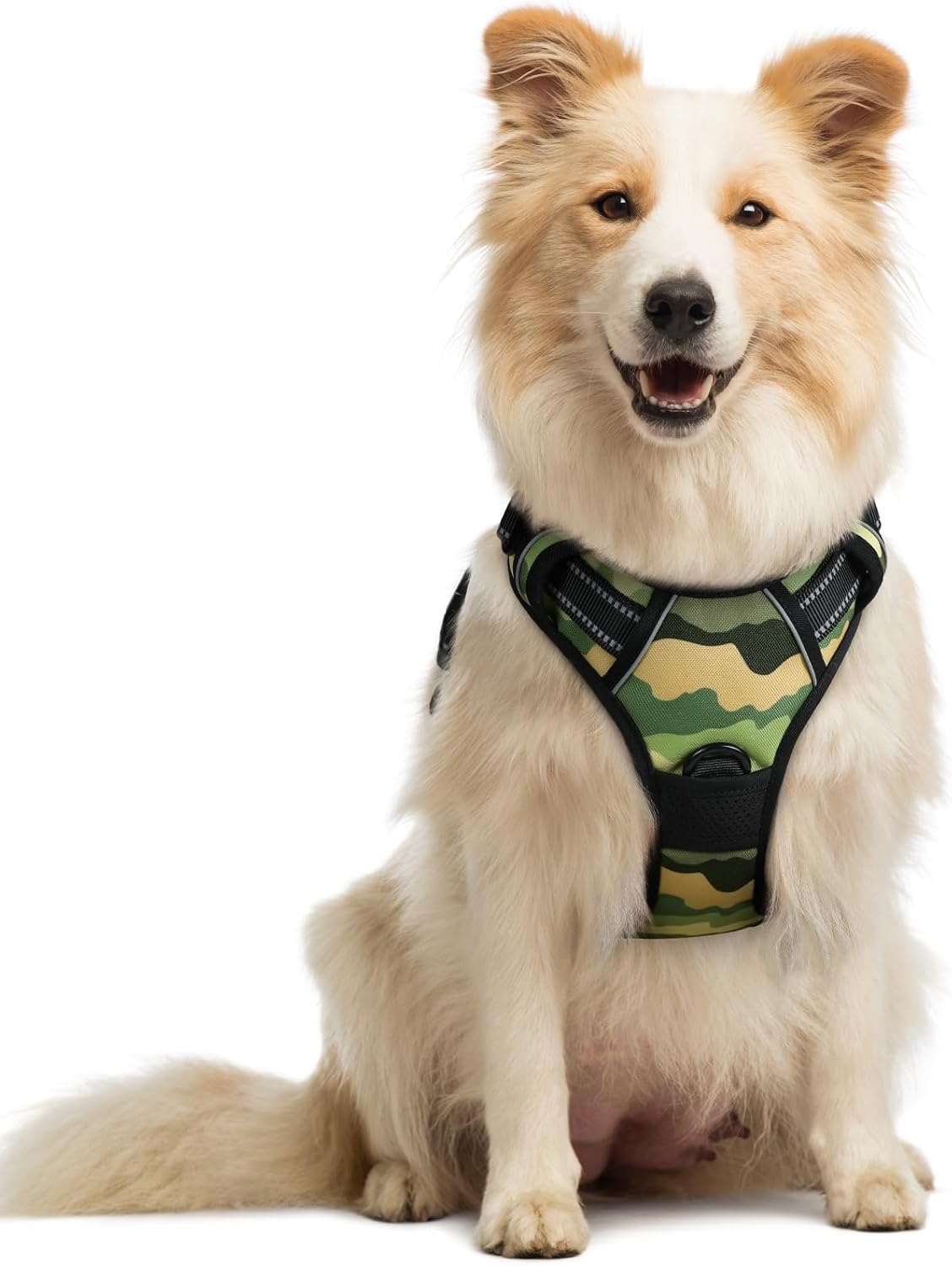 rabbitgoo Dog Harness No Pull with 2 Leash Clips, Adjustable Soft Padded, Reflective Oxford No Choke Pet Vest with Easy Control Handle for Large Dogs, Green Mountain, M