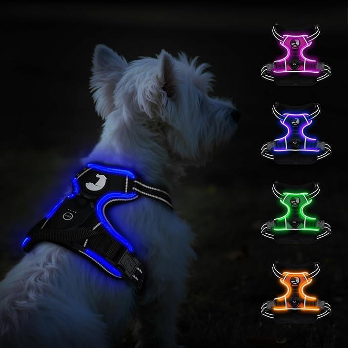 Taglory Light Up Dog Harness, Rechargeable No Pull Dog Vest with 3 Lightning Modes, Reflective Dog Harness with 2 Leash Clips & 4 Adjustable Slide Strips for Small Dogs, Black-Blue, S