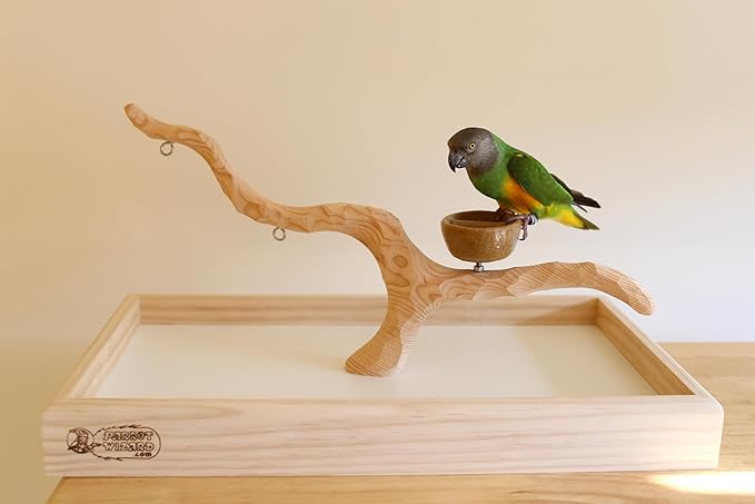 Deluxe Tabletop Perfect Tree (with Bowl) - Tree Stand for Parakeets and Small Parrots